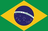 Fotobehang - Vlies Behang - Braziliaanse Vlag - Brazilië - 254 x 184 cm