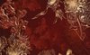 Fotobehang - Vlies Behang - Vintage Abstracte Bloemen en Planten - Kunst - 312 x 219 cm