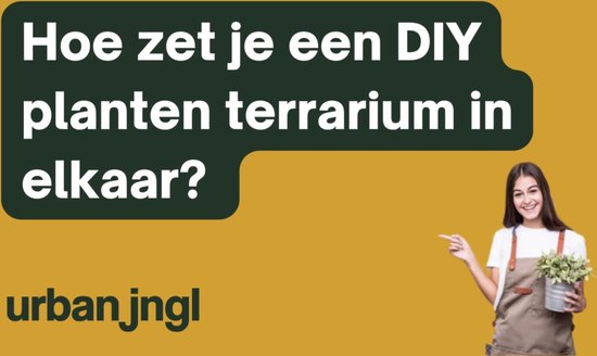 Teddy Bonsai - DIY Planten Terrarium met licht - 26cm ↑26,5cm kopen