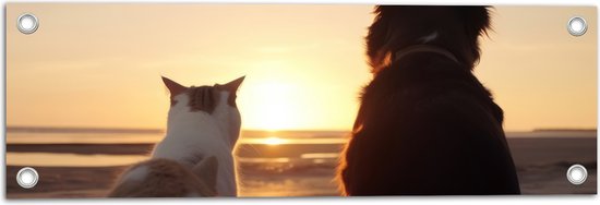 Tuinposter – Kat en Hond op het Strand Kijkend naar Zonsondergang - 60x20 cm Foto op Tuinposter (wanddecoratie voor buiten en binnen)