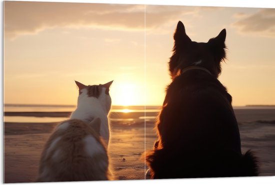 Acrylglas - Kat en Hond op het Strand Kijkend naar Zonsondergang - 120x80 cm Foto op Acrylglas (Wanddecoratie op Acrylaat)