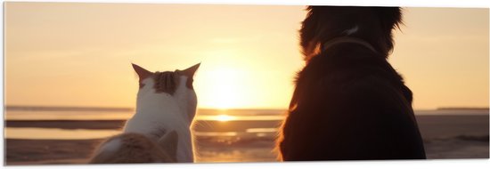 Acrylglas - Kat en Hond op het Strand Kijkend naar Zonsondergang - 120x40 cm Foto op Acrylglas (Met Ophangsysteem)