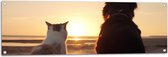 Tuinposter – Kat en Hond op het Strand Kijkend naar Zonsondergang - 120x40 cm Foto op Tuinposter (wanddecoratie voor buiten en binnen)
