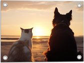 Tuinposter – Kat en Hond op het Strand Kijkend naar Zonsondergang - 40x30 cm Foto op Tuinposter (wanddecoratie voor buiten en binnen)