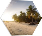 PVC Schuimplaat Hexagon - Felle Zonnestralen over het Strand en Palmbomen - 40x34.8 cm Foto op Hexagon (Met Ophangsysteem)