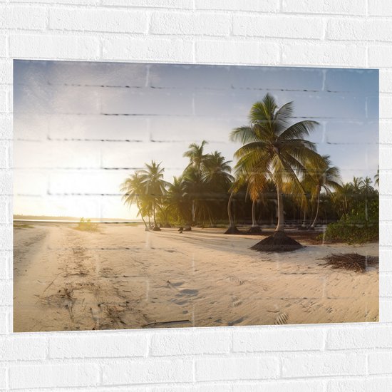 Muursticker - Felle Zonnestralen over het Strand en Palmbomen - 100x75 cm Foto op Muursticker