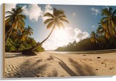 Hout - Palmbomen in het Zonlicht hangend over het Strand - 90x60 cm - 9 mm dik - Foto op Hout (Met Ophangsysteem)