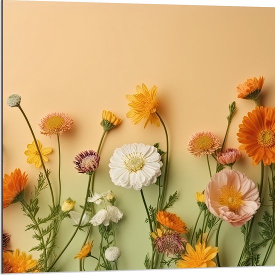 Dibond - Oranje met Witte Bloemen op Oranje Achtergrond - 80x80 cm Foto op Aluminium (Wanddecoratie van metaal)