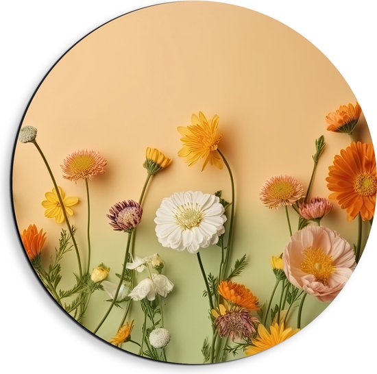 Dibond Muurcirkel - Oranje met Witte Bloemen op Oranje Achtergrond - 40x40 cm Foto op Aluminium Muurcirkel (met ophangsysteem)