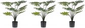 3x Groene Philodendron kunstplant 60 cm in zwarte pot - Kunstplanten/nepplanten