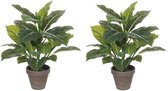 2x Groene Philodendron kunstplanten 49 cm in grijze pot - Kunstplanten/nepplanten