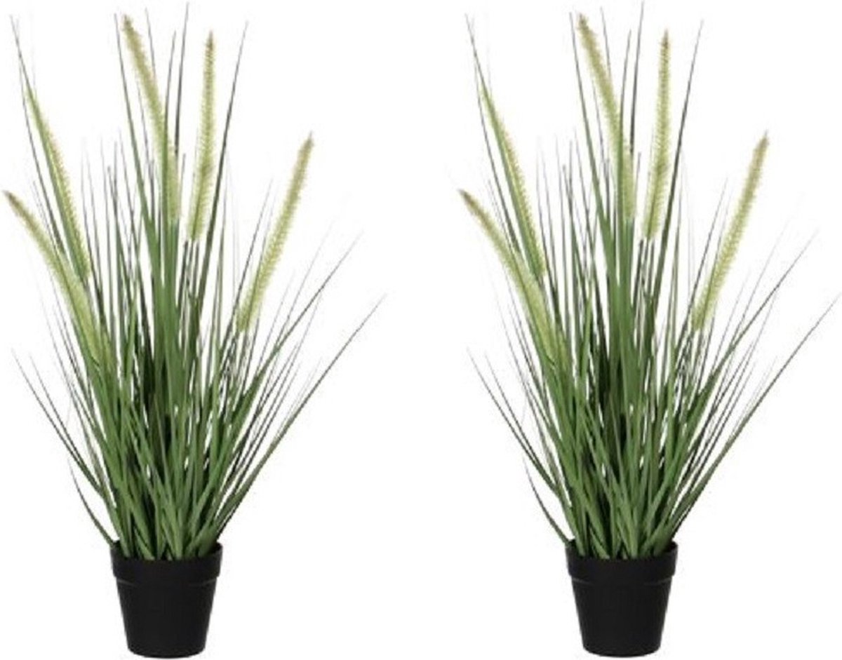 Mica Decorations Kunstplant Siergras - 2x - dogtail - D30 x H53 cm - in zwarte pot Mosgroen