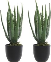 2x Groene aloe vera kunstplanten 35 cm in zwarte pot - Kunstplanten/nepplanten - Succulenten - Kantoorplanten