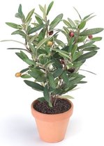 Kunstplant olijf boomje groen in pot 35 cm- Kamerplant groen olijfboom