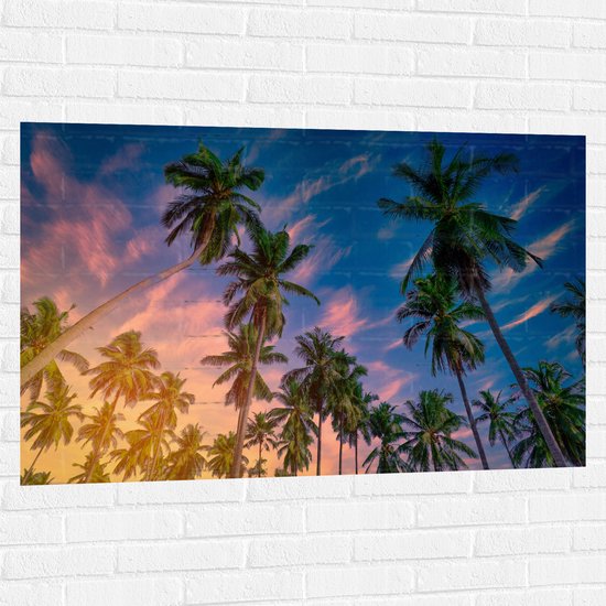 Muursticker - Onderaanzicht van Groep Kokosnoot Palmbomen onder Roze Lucht - 120x80 cm Foto op Muursticker