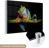 Peinture sur verre - Grenouille - Animaux - Vert - Oranje - Rouge - Photo sur verre - Peinture sur verre - 180x120 cm - Décoration murale