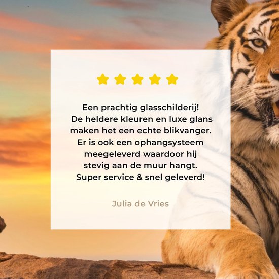 MuchoWow® Peinture sur verre - Tigre - Soleil - Rochers - 180x120 cm - Peintures sur verre acrylique - Photo sur Glas