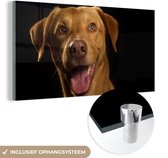 MuchoWow® Glasschilderij 80x40 cm - Schilderij acrylglas - Hond - Huisdieren - Portret - Foto op glas - Schilderijen