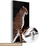 MuchoWow® Glasschilderij 40x80 cm - Schilderij acrylglas - Cheeta - Dieren - Licht - Foto op glas - Schilderijen