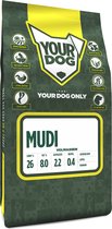 Yourdog mudi volwassen - 3 KG