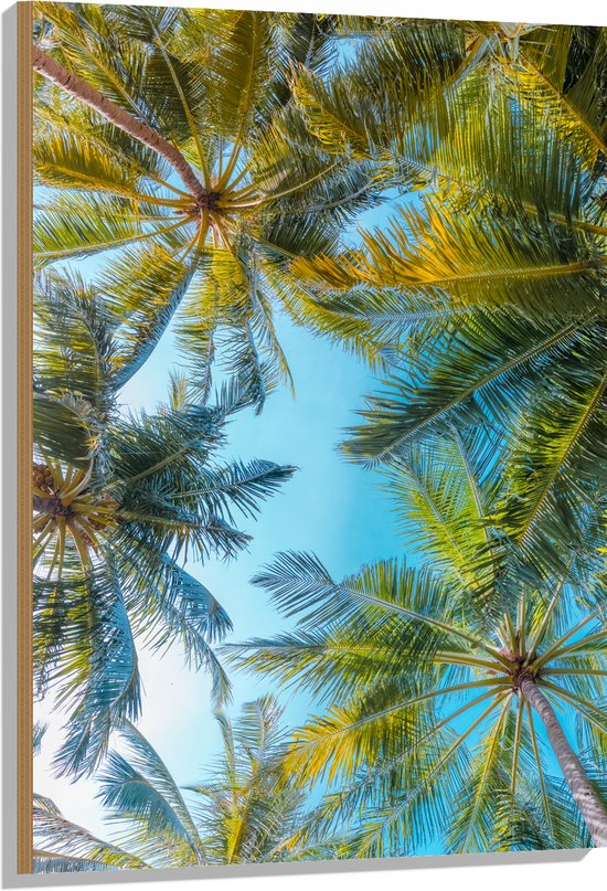 Hout - Onderaanzicht van Tropische Palmbomen onder Stralend Blauwe Lucht - 70x105 cm - 9 mm dik - Foto op Hout (Met Ophangsysteem)