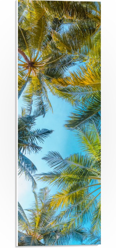 PVC Schuimplaat- Onderaanzicht van Tropische Palmbomen onder Stralend Blauwe Lucht - 20x60 cm Foto op PVC Schuimplaat