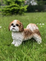 Shih Tzu Boomer staand bruin en wit 26 cm hoog - hond - dog - polyester - polyresin - polystone - hoogkwalitatieve kunststof - decoratiefiguur - interieur - accessoire - voor binnen - cadeau - geschenk - tuinfiguur - tuinbeeldje - tuindecoratie