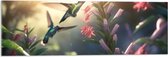 Acrylglas - Kolibries Vliegend bij Roze Plantgjes - 90x30 cm Foto op Acrylglas (Wanddecoratie op Acrylaat)