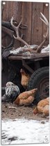 Tuinposter – Groepje Kippen Lopend bij Wagen op Boerderij - 40x120 cm Foto op Tuinposter (wanddecoratie voor buiten en binnen)