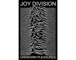 Joy Division - Unknown Pleasures Textiel Poster - Zwart