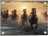 Tuinposter – Vooraanzicht van Kudde Galopperende Paarden in de Zee - 40x30 cm Foto op Tuinposter (wanddecoratie voor buiten en binnen)