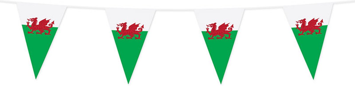 Wefiesta - Vlaggenlijn Wales 20 x 30 cm (10 meter)