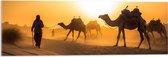 Acrylglas - Kamelen in de Woestijn - 90x30 cm Foto op Acrylglas (Met Ophangsysteem)