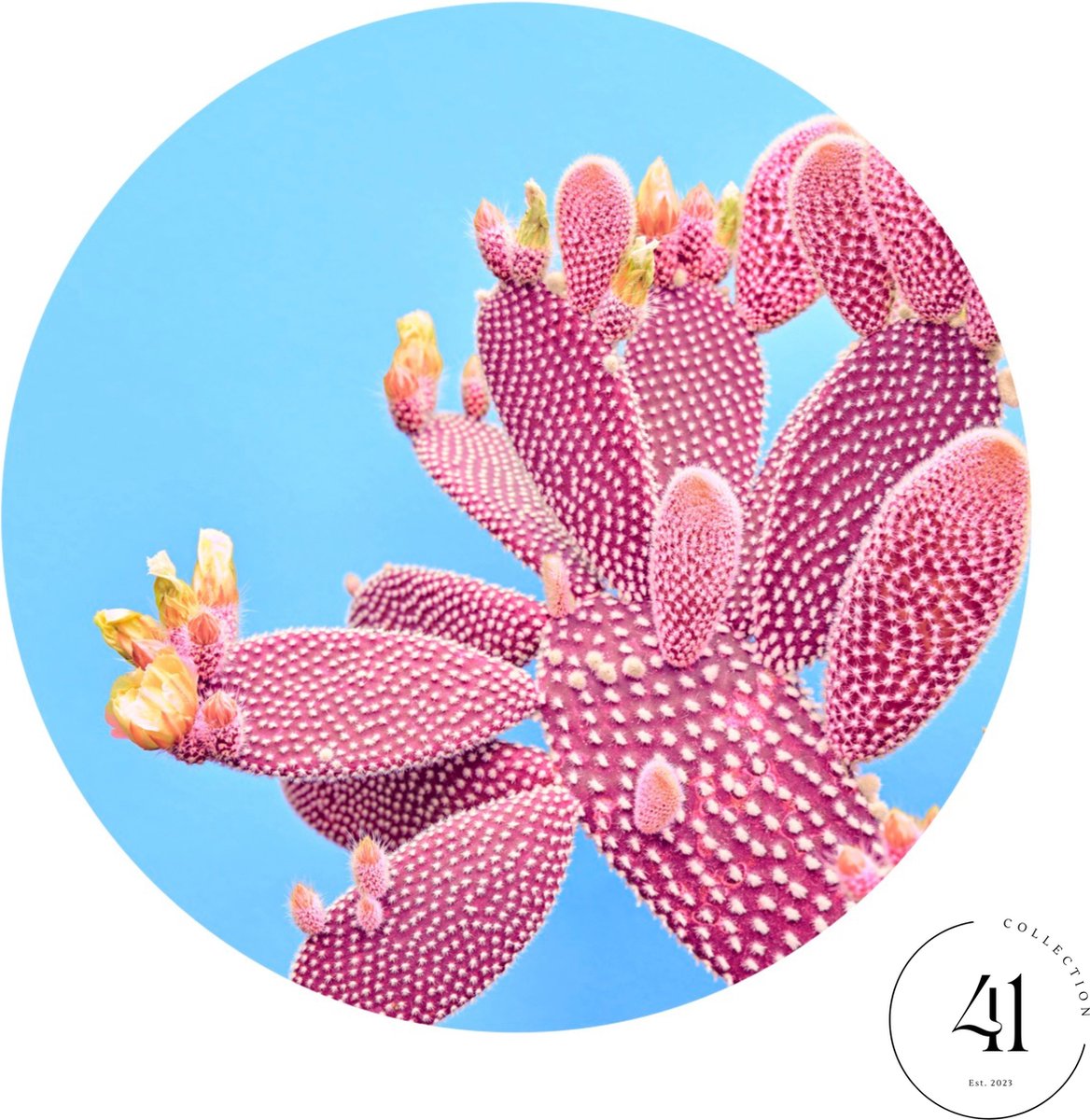 Collection41 - Bedrukte ronde placemat - Cactus print - Roze - 6 Stuks