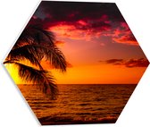 PVC Schuimplaat Hexagon - Zonsondergang bij de Zee - 40x34.8 cm Foto op Hexagon (Met Ophangsysteem)