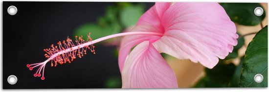 Tuinposter – Roze Bloem met Groene Bladeren - 60x20 cm Foto op Tuinposter (wanddecoratie voor buiten en binnen)