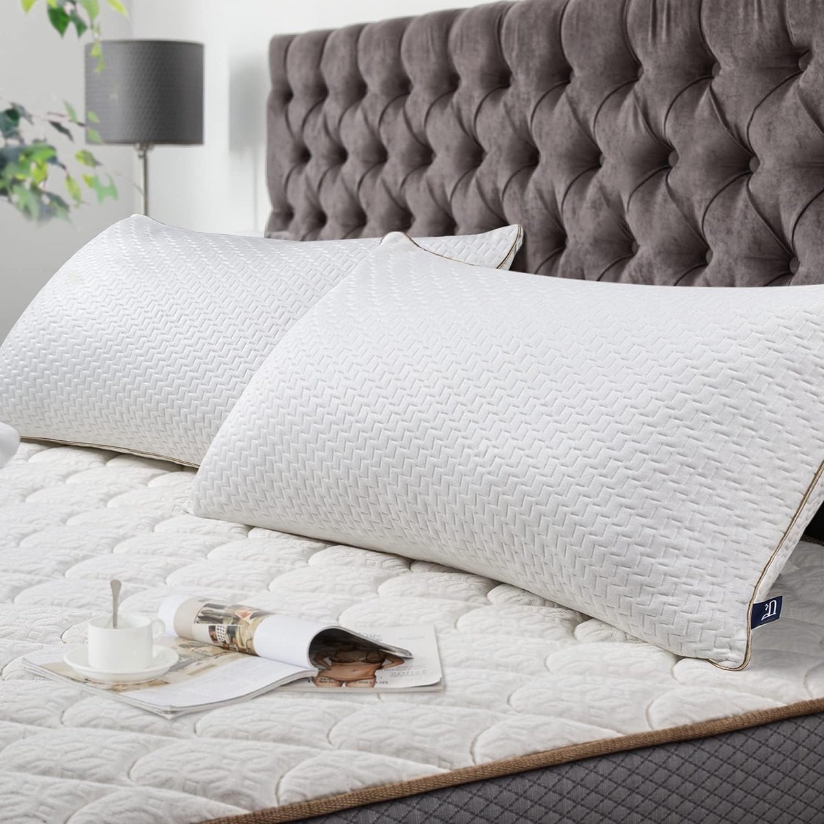 Bedstory hoofdkussens, 2-delige set, met afneembare overtrek, anti-mijt- en antibacterieel kussen van microvezels, hypoallergeen, comfortabel, zacht en ademend kussen. wit