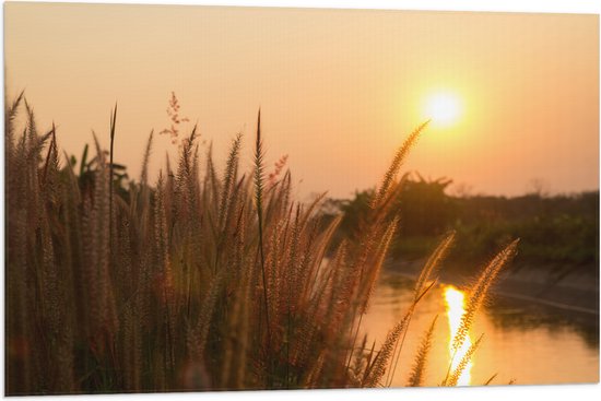 Vlag - Zonsondergang bij Grassen in het Weiland - 90x60 cm Foto op Polyester Vlag