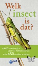 Welk insect is dat?