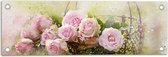Tuinposter – Bloemen - Schilderij - Rozen - Mandje - 60x20 cm Foto op Tuinposter (wanddecoratie voor buiten en binnen)