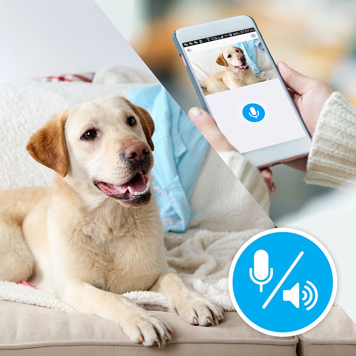 Afbeelding 2 van EZVIZ C2C Beveiligingscamera - Full HD Binnen WiFi camera - Tweeweg Audio - Nachtzicht - Bewegingssensor - Wit