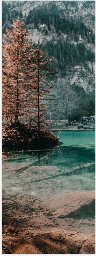 Poster Glanzend – Bergen - Bomen - Water - 20x60 cm Foto op Posterpapier met Glanzende Afwerking