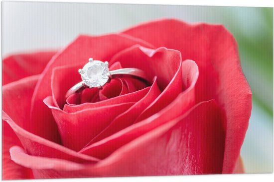 Vlag - Bloem - Roos - Ring - Diamant - Rood - 105x70 cm Foto op Polyester Vlag