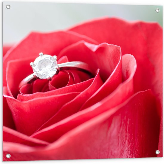 Tuinposter – Bloem - Roos - Ring - Diamant - Rood - 80x80 cm Foto op Tuinposter (wanddecoratie voor buiten en binnen)