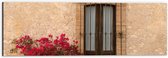 Dibond - Rode Bloemenstruik bij Deur van Traditioneel Italiaans Huis - 60x20 cm Foto op Aluminium (Met Ophangsysteem)