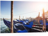 PVC Schuimplaat- Blauwe Gondels op de Zee bij Venetië op Zonnige Dag - 105x70 cm Foto op PVC Schuimplaat
