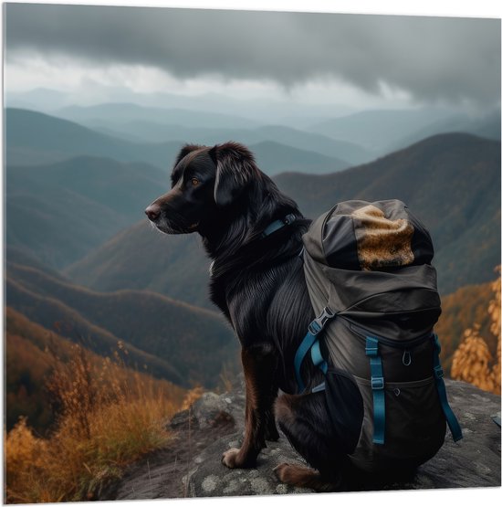 Acrylglas - Reizende Hond met Backpack op Top van de Berg - 100x100 cm Foto op Acrylglas (Wanddecoratie op Acrylaat)