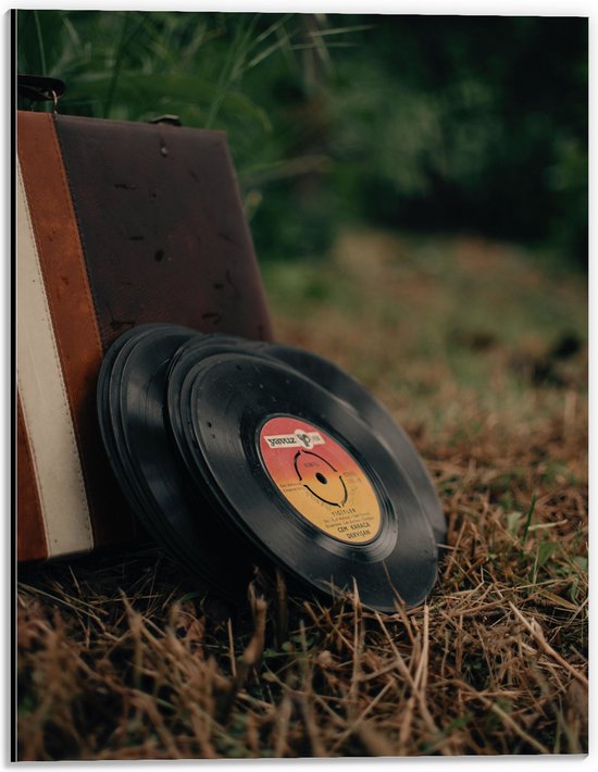 Dibond - Muziekplaten tegen Vintage Koffer in Landschap - 30x40 cm Foto op Aluminium (Met Ophangsysteem)