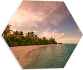 PVC Schuimplaat Hexagon - Ligbed aan Palmboom op Strand van Onbewoond Eiland - 40x34.8 cm Foto op Hexagon (Met Ophangsysteem)