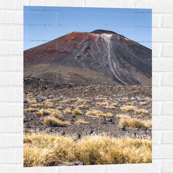 Muursticker - Berg - Stenen - Plantjes - 60x80 cm Foto op Muursticker